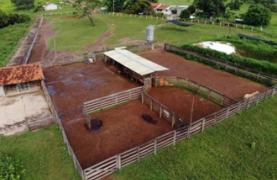 Fazenda para venda em Presidente Olegário